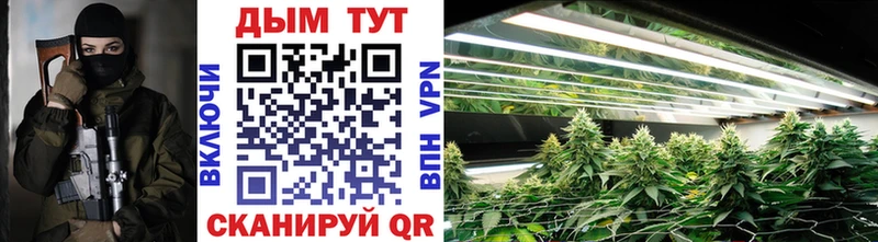 A-PVP Правдинск