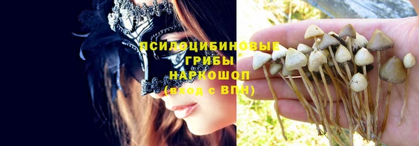 а пвп мука Осташков