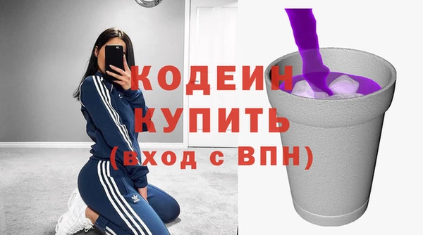шишки Нязепетровск