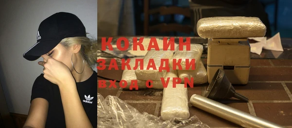 шишки Нязепетровск