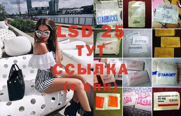 шишки Нязепетровск