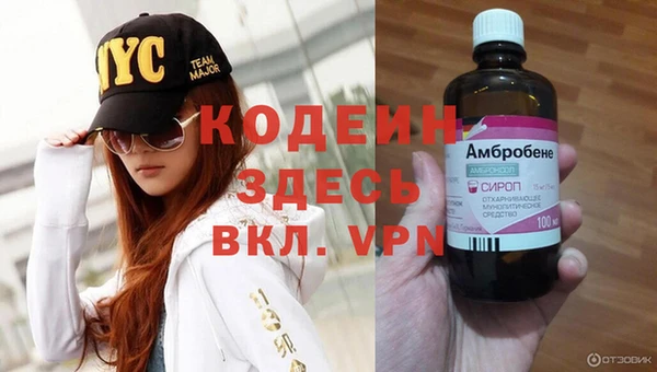 стаф Няндома