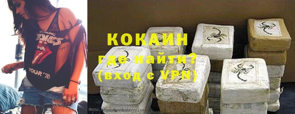 шишки Нязепетровск