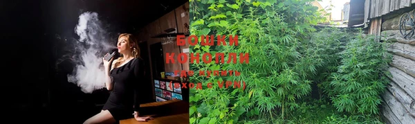 стаф Няндома