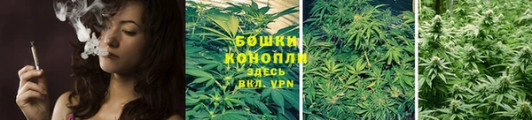 шишки Нязепетровск